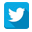 twitter-icon